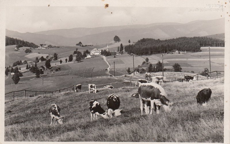 BESKIDEN - BESKYDY - Na Gruni 